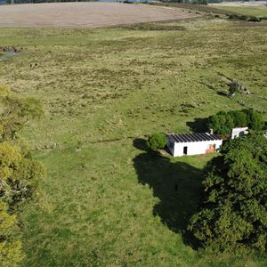Campo 30 Hectáreas  Alta Productividad Ruta 9 