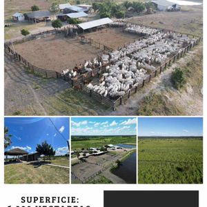 Propiedad Ganadera En Venta