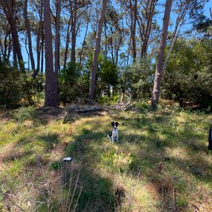 Lote 20 Reserva Montoya - Dueño Vende