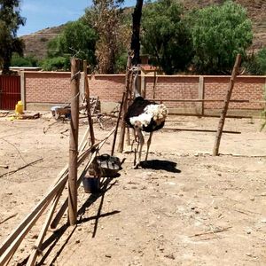 En Venta, Hermoso Lote