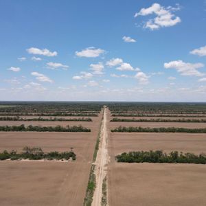 493 Hectáreas Agrícolas Sobre Carretera