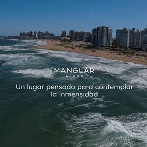 Albor - Brava- Mansa Punta Del Este