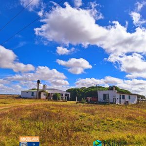**reservado**vendo Campo 267has Sobre Ruta 19 Km 19. Paraje Isla Negra