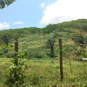 Pequeña Propiedad En La Zona Del Torno Ideal Para Inversionistas