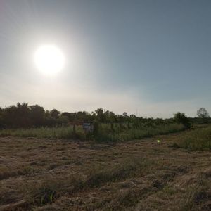 Terreno  3 Hectáreas En Paso De La Arena