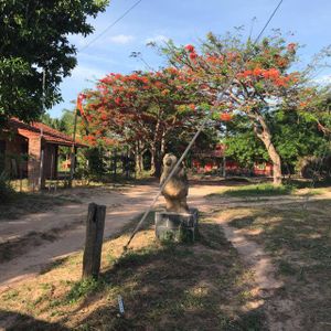 Amplios Terrenos En Venta