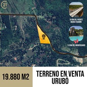 Urubo 2 Hectáreas En Venta A 12 Min Del Puente - Precio De Venta Rápida