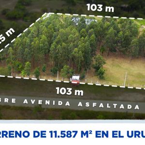 Atencion Inversionista Terreno En Alquiler En El Urubo