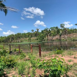 Tel 73976078 Se Venden 743 Hectáreas 