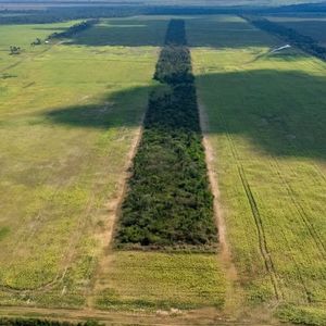 En Venta | Propiedad Agrícola En San Julian - Santa Cruz