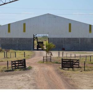 Propiedad Ganadera, Pailon