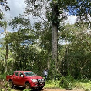 En Venta: 16.406 Hectáreas A Aprox. 100 Kms Al Norte De Tapera