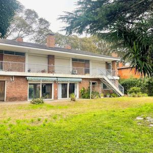 Alquiler De Gran Casa Sobre Av. Bolivia, Ideal Empresa O Emprendimiento