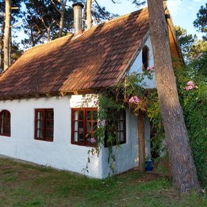 Cabaña En El Bosque