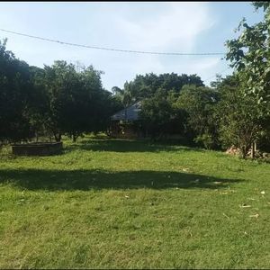Granja Avicola En Venta