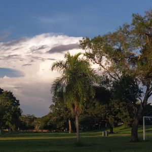 Traspaso De Terreno En Los Olivos (con Credito Directo)