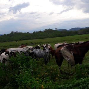 Propiedad En Venta En Camiri