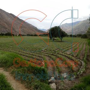 Terreno En Huaricana