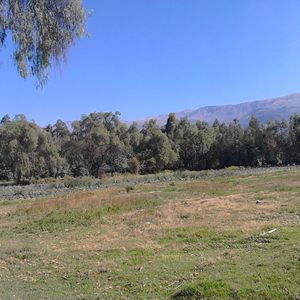 Hermoso Terreno Con Tres Frentes En Tiquipaya - Cochabamba - Bolivia.