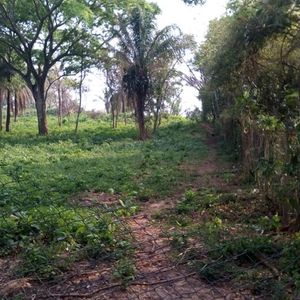 Hermosos Terrenos En Venta Detras De La Hidroelectrica