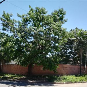 Vendo Lote En Esquina Zona Roca Y Coronado Zona Nuevo Puente Urubo