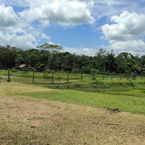 Inmueble # 740 Propiedad En Venta En Trinidad Beni