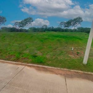 Urubo Terreno En Venta Condominio Cerrado Palmas Del Urubo III