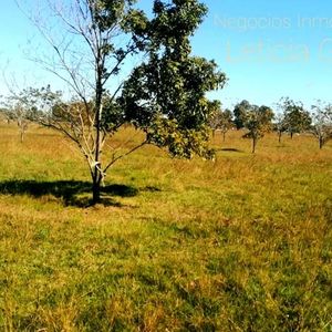 Venta San José Playa Pascual 7 Chacras De 1 Hectárea