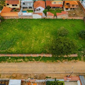 Terreno En Palma Dorada