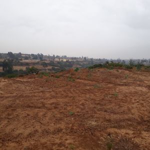 Sacaba-lopez Rancho 3 Has