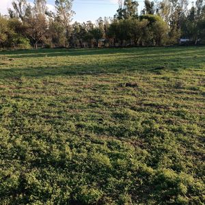 Urbanización La Riviera