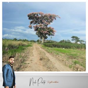 Terreno En Alquiler Sobre Carretera Scz Km 23 Oferta única Disponible