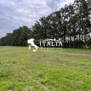 Ruta 1 16 Hectareas A 15 Minutos Del Puerto
