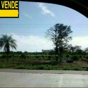 Propiedad En Venta O Permuta  Apta Para Lecheria, Chancheria