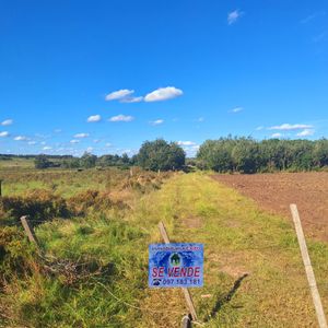Vendo Campo 7has Canelon Chico Entre Rutas 107, 33, 32 Aguadas Permanentes