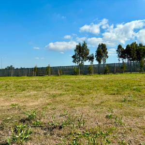Los Olivos. Excelente Lote. Orientacion Norte.