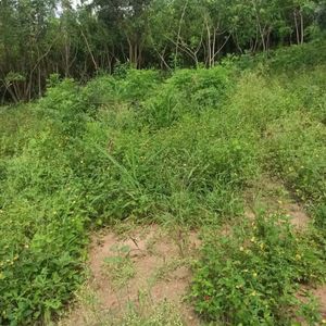 Terrenos En Venta  En El Torno 10min Del Puente 