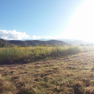 En Venta Terreno En San Lorenzo