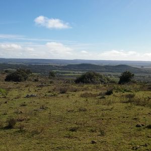 Hermoso Terreno A La Venta En Cerro Guazubirá Con Vista Panorámica