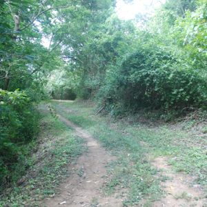  Vendo Lindo Terreno 3350m2 En  Urbanizacion ,a 6 Km De La Guardia