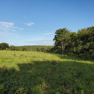 Propiedad Ganadera En Concepcion, En Venta $1100 Ha