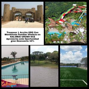 Traspaso 1 (acción Oro Con Membresia Familiar Vitalicia) En Kalomai Urubo Scz 