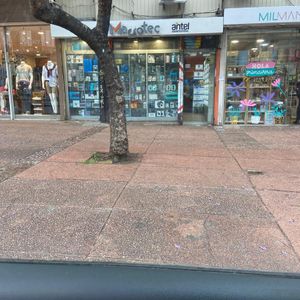 Local Comercial En 18 De Julio 