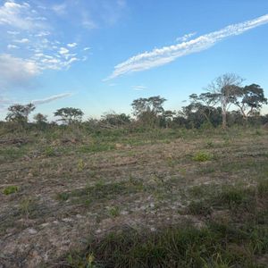 Terreno Rustico En Venta 