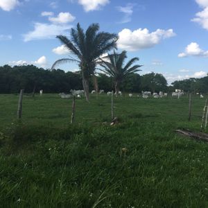 Terreno En Venta  A 12 $ El M2