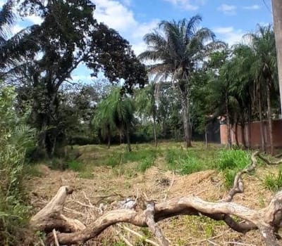 Terreno En Venta En Centro Comercial Agroindustrial G/77