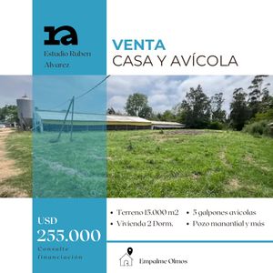 Avicola Prox Empalme Olmos