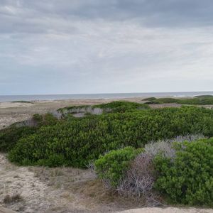 Terreno En Punta Rubia Con Potencial Vista Al Mar - Zona Santa Isabel