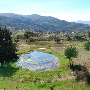 Interesante Terreno Para Residencias O Negocio Gastronómico.