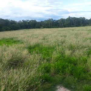 Oportunidad!!! Propiedad En Venta 521,4450 Has